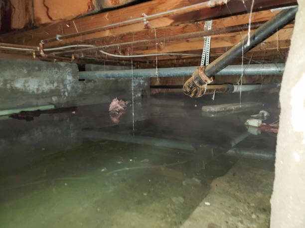 Best Water damage restoration experts  in Sweet Home, OR