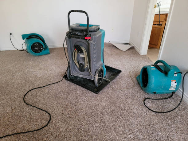 Best Mold removal after water damage  in Sweet Home, OR