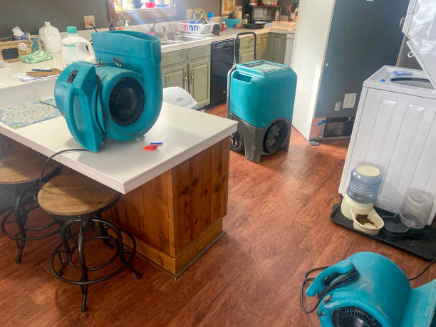 Best 24/7 water damage repair  in Sweet Home, OR