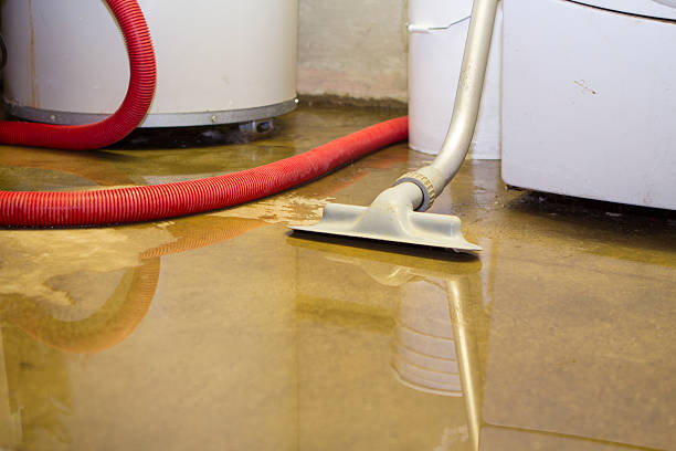 Best 24/7 water damage repair  in Sweet Home, OR