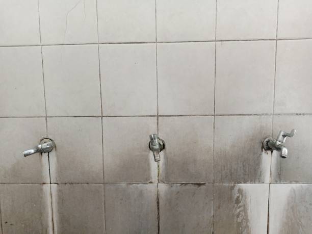 Best Water damage contractors near me  in Sweet Home, OR