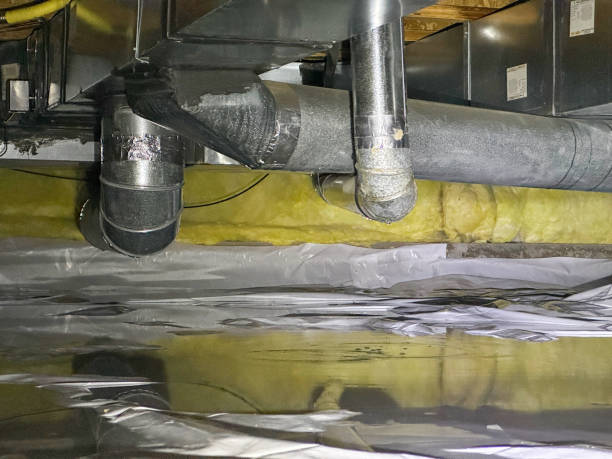 Best Mold removal after water damage  in Sweet Home, OR