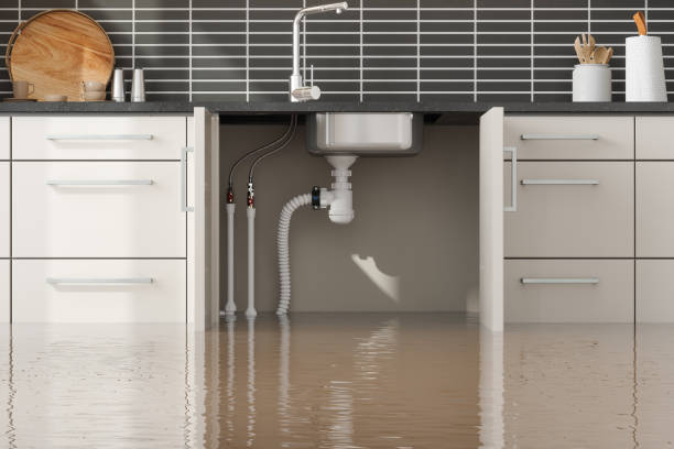 Best Flood restoration services  in Sweet Home, OR